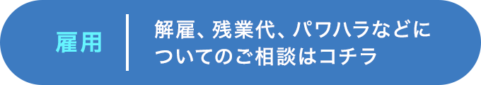 雇用 解雇、残業代、パワハラなどについてのご相談はコチラ