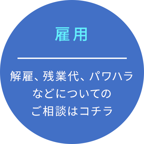 雇用 解雇、残業代、パワハラなどについてのご相談はコチラ